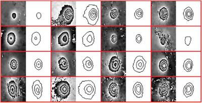 A Novel Phase <mark class="highlighted">Unwrapping</mark> Method Used for Monitoring the Land Subsidence in Coal Mining Area Based on U-Net Convolutional Neural Network